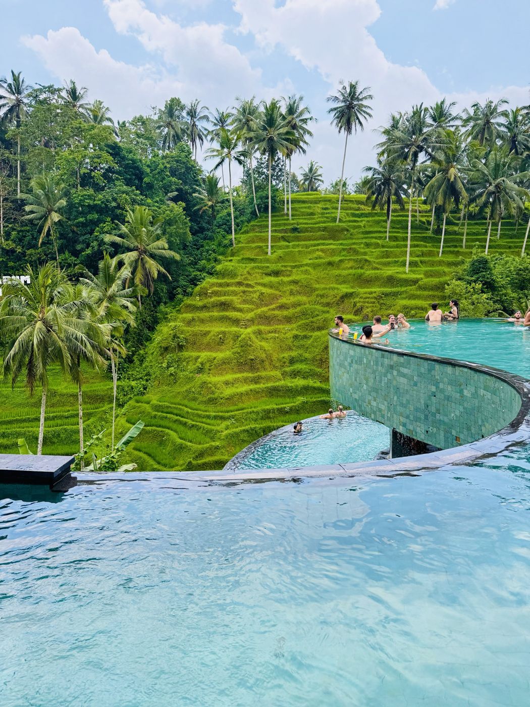 Infinity pool above rice terraces in Bali